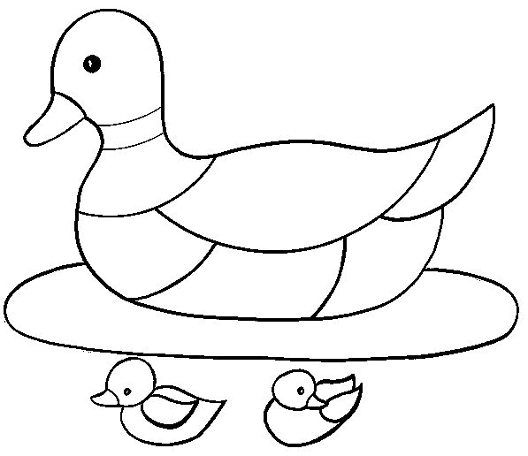 Kaczki 3