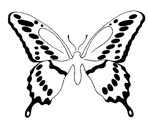 Motyle 10