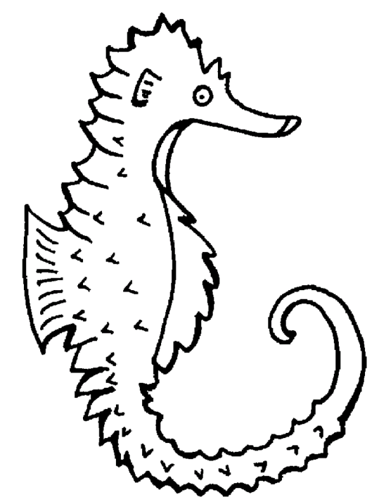 Koniki wodne 3