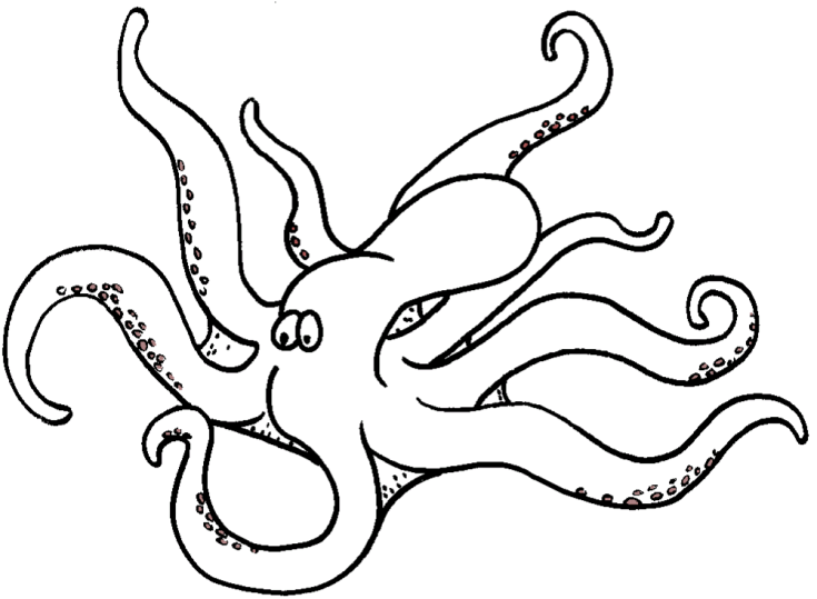 Ośmiornice 2