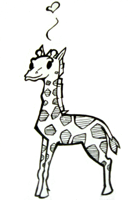 Żyrafy 3