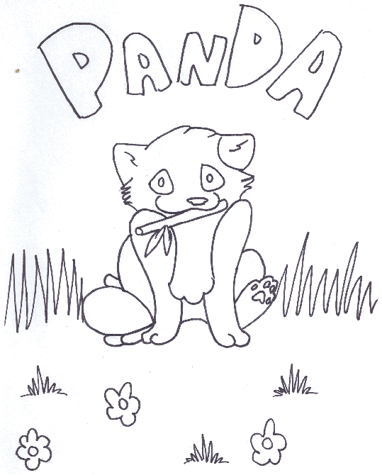 Panda Mała 1