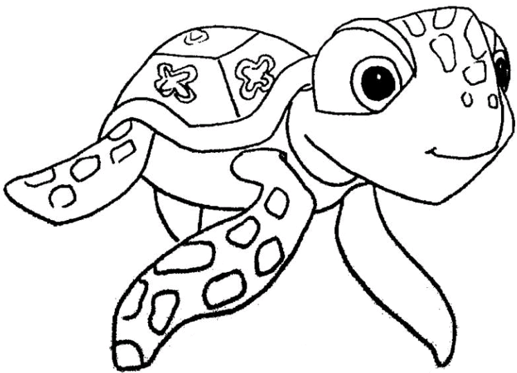 Żółwie 4