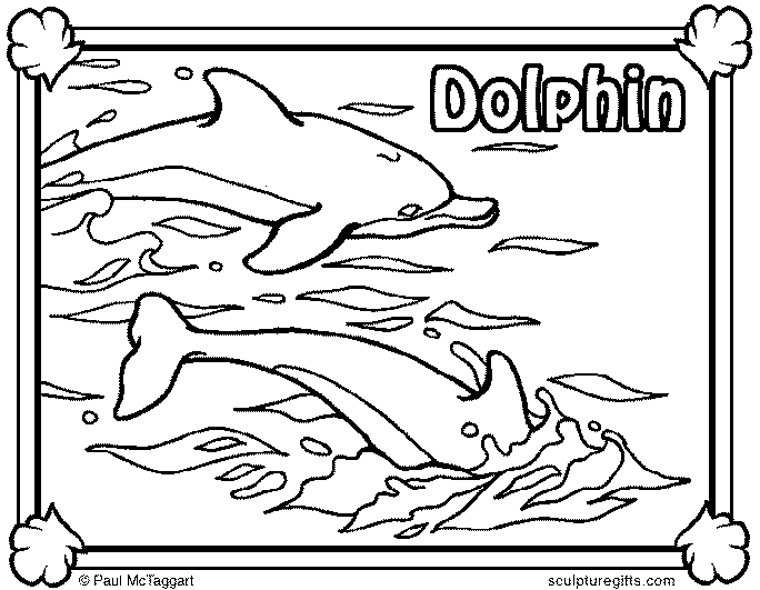 Delfiny 13