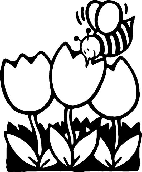 Pszczoły 9