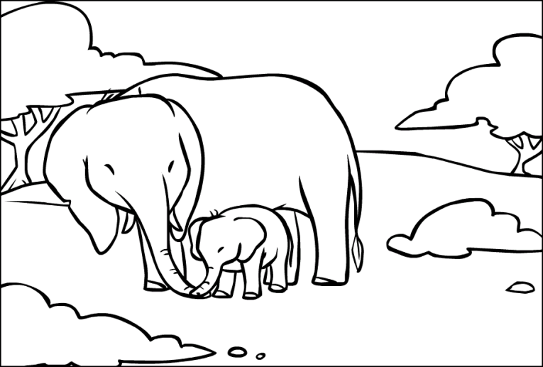Słonie 10