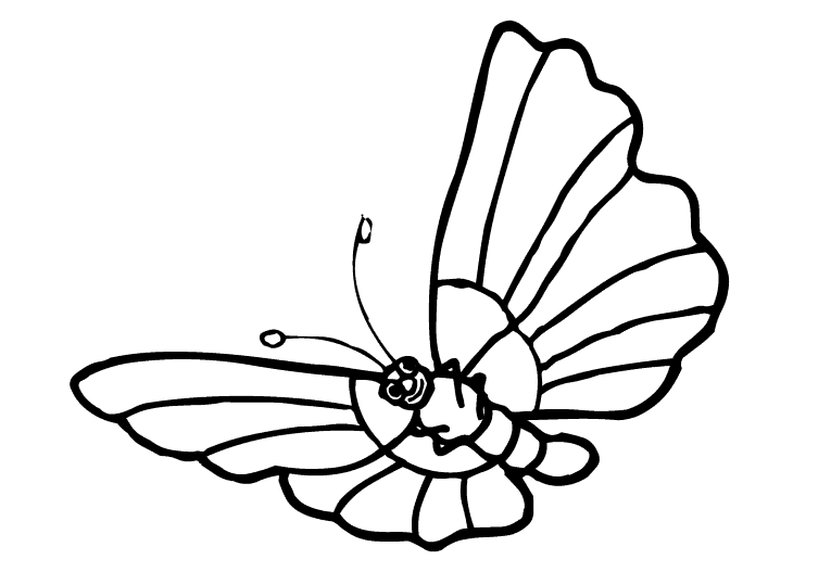Motyle 26