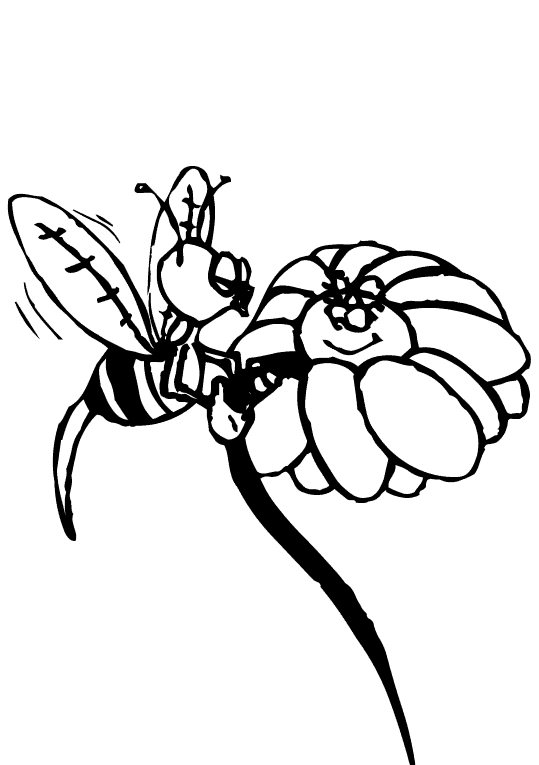 Pszczoły 11