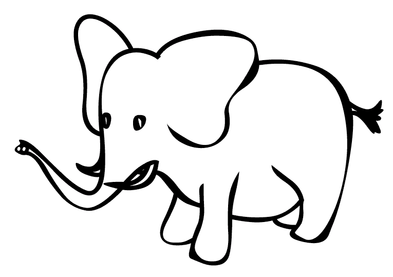 Słonie 11