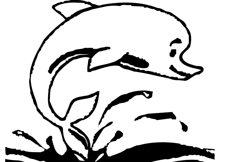 Delfiny 19