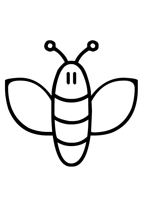 Pszczoły 12