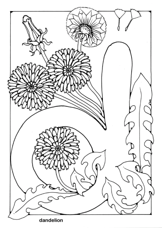 Angielskie Słowa 63