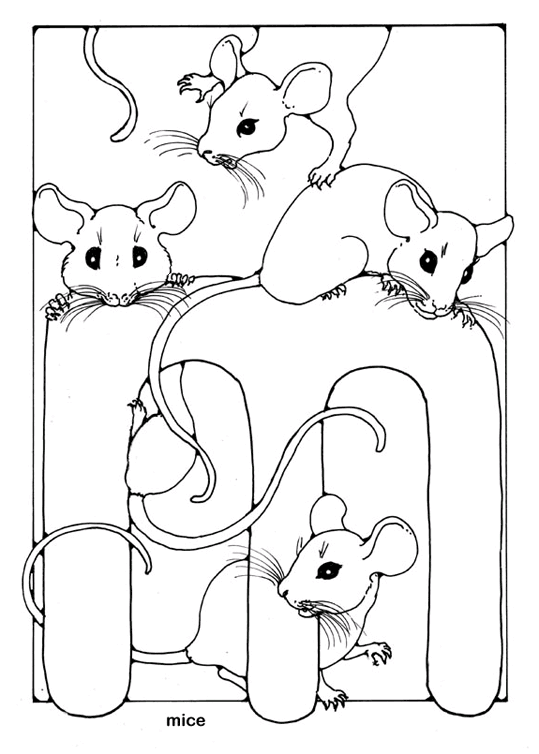 Angielskie Słowa 72