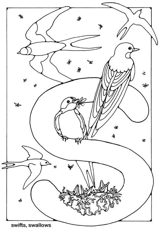 Angielskie Słowa 78