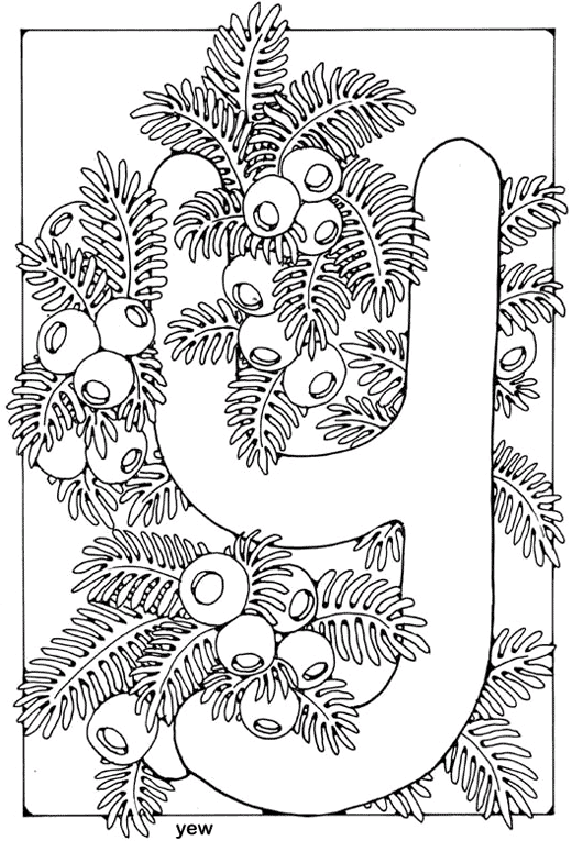 Angielskie Słowa 85