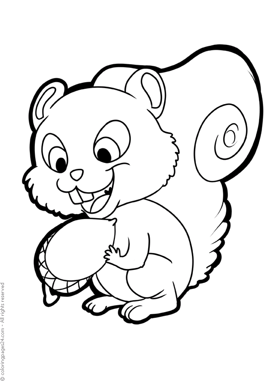 Wiewiórki 8