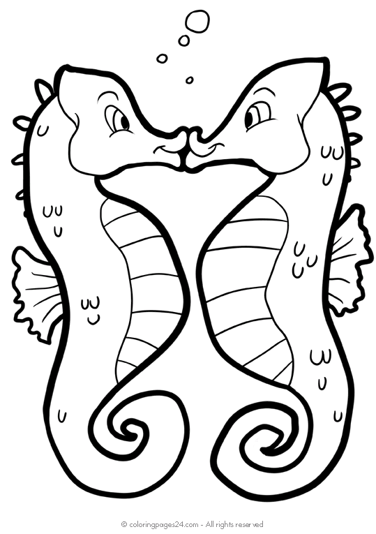 Koniki wodne 7