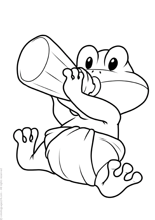 Żaby oraz Ropuchy 11