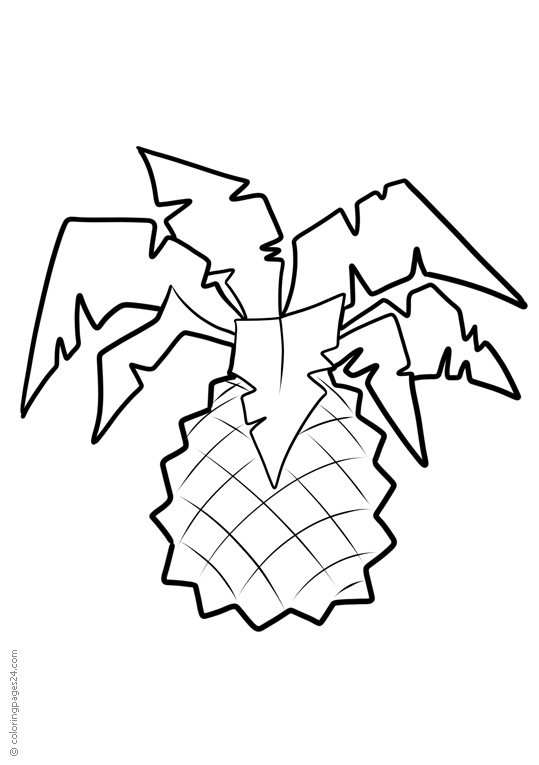 Owoce 35