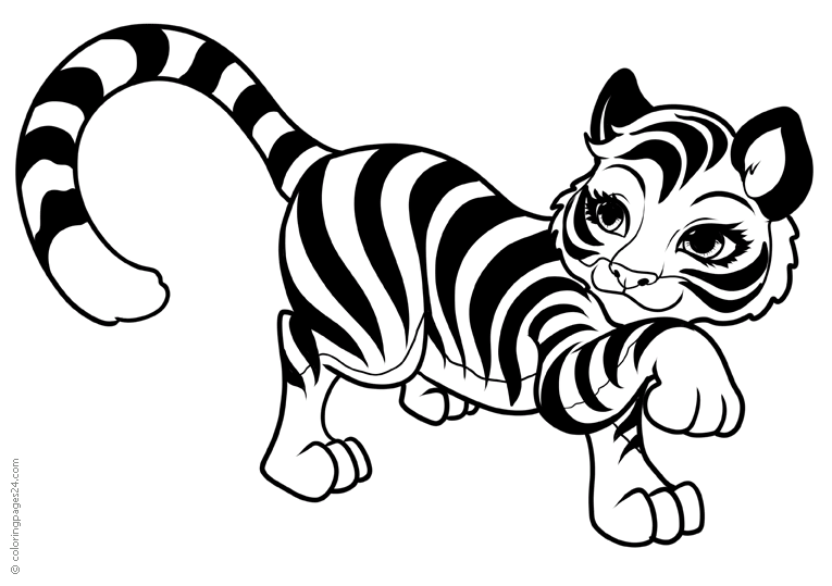 Tygrysy 7