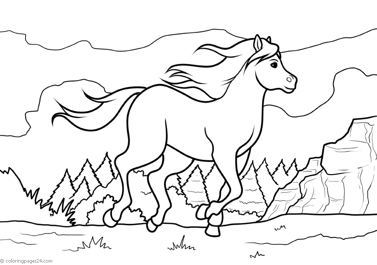 Konie 64