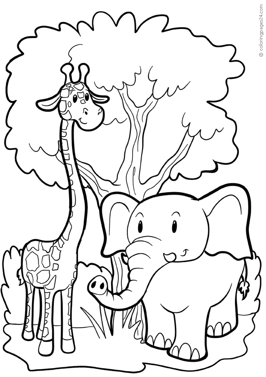 Słonie 22