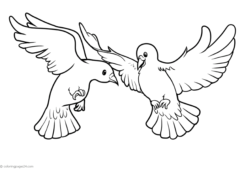 Ptaki 25