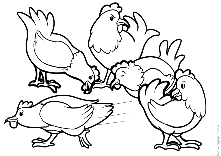 Kurczaki 12