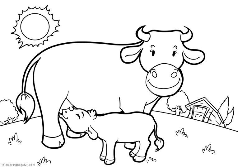 Krowy oraz Byki 12