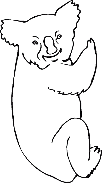 Misie Koala 1