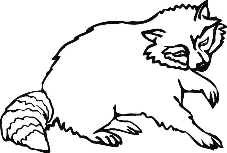 Szopy 1