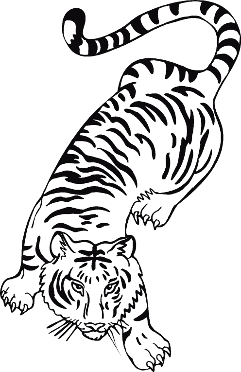 Tygrysy 1