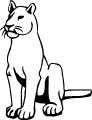 Pumy - 1