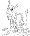 Jelenie - 5