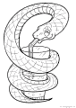 Węże - 3