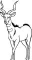 Antelopy - 1
