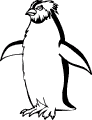 Pingwiny - 1