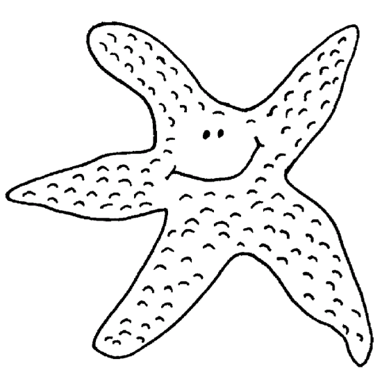 Rozgwiazdy 2