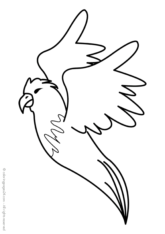 Orły 5