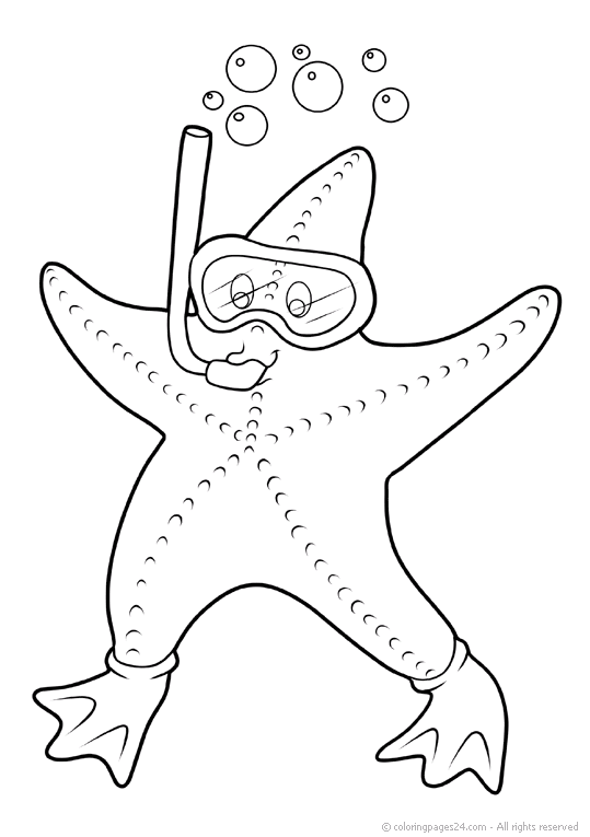 Rozgwiazdy 5